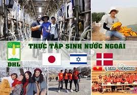 Quyết định cử sinh viên đi thực tập tốt nghiệp tại Nhật Bản