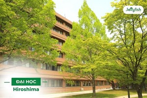Thông báo tuyển sinh đào tạo tiến sĩ liên kết đại học Hiroshima Nhật Bản