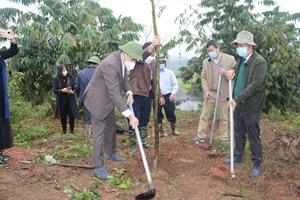 Trường Đại học Nông Lâm Thái Nguyên phát động Tết trồng cây Xuân Nhâm Dần năm 2022