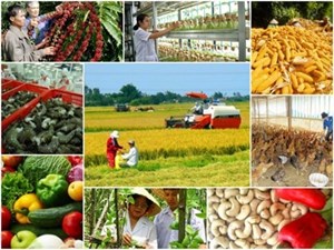 Quyết định cử sinh viên đi thực tập nghề nghiệp tại Đan Mạch năm 2025