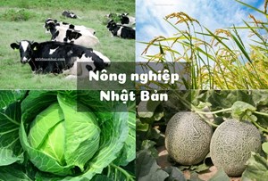 Quyết định về việc cử sinh viên đi học tập trao đổi ngắn hạn tại Nhật Bản năm 2025