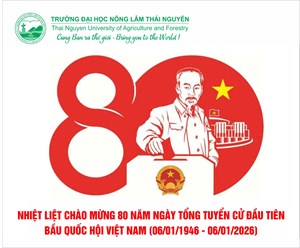 Nhiệt liệt hưởng ứng Kỷ niệm 80 năm Ngày Tổng tuyển cử đầu tiên bầu Quốc hội Việt Nam và tiến tới Bầu cử đại biểu Quốc hội khóa XVI, bầu cử đại biểu HĐND các cấp