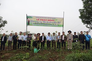 Tết trồng cây năm 2026 - Lan tỏa màu xanh tại Trường Đại học Nông Lâm