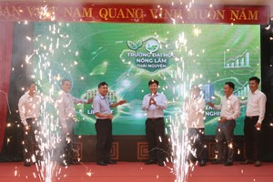 Hội nghị Kết nối hệ sinh thái liên kết Tuyển sinh - Đào tạo - Tuyển dụng giai đoạn 2026-2030