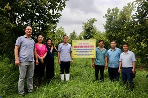 Kiểm tra một số mô hình ứng dụng khoa học và công nghệ trong lĩnh vực nông nghiệp