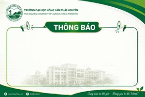 Thông báo tuyển dụng Chuyên viên hợp đồng Phòng Đào tạo