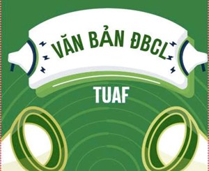 Các văn bản liên quan đến ĐBCL